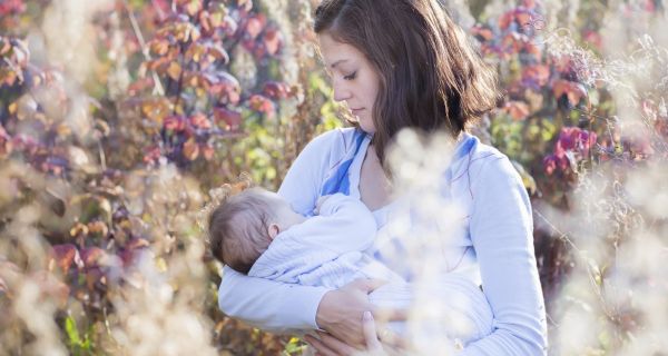 Sức khoẻ - Làm đẹp - Những thực phẩm lợi sữa cho mẹ sau sinh