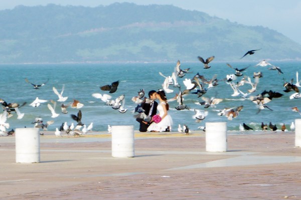 Hiện trường - Người đàn ông cho ngàn chim bồ câu ăn trên Công viên Biển Đông (Hình 13).
