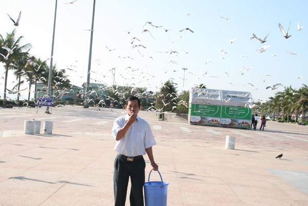 Hiện trường - Người đàn ông cho ngàn chim bồ câu ăn trên Công viên Biển Đông (Hình 3).