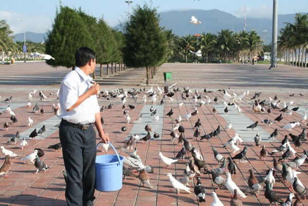 Hiện trường - Người đàn ông cho ngàn chim bồ câu ăn trên Công viên Biển Đông (Hình 5).