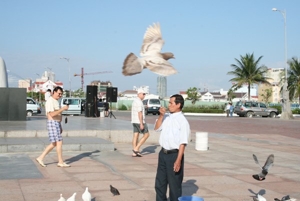 Hiện trường - Người đàn ông cho ngàn chim bồ câu ăn trên Công viên Biển Đông (Hình 9).