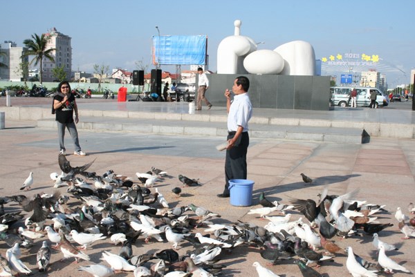 Hiện trường - Người đàn ông cho ngàn chim bồ câu ăn trên Công viên Biển Đông (Hình 10).