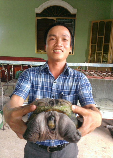 Tài nguyên - Phát hiện con rùa có hình thù kỳ dị tại Tiền Giang (Hình 2).
