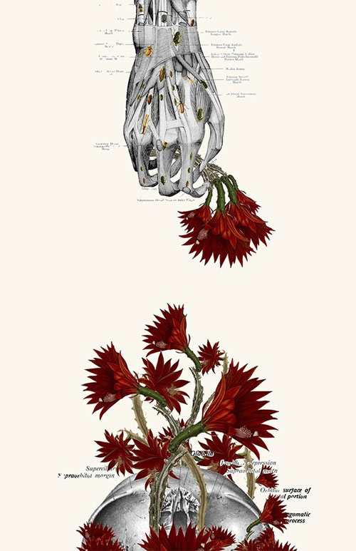 Hiện trường - Xem hình người 'giải phẫu' qua bộ ảnh hoa lá độc đáo (Hình 8).