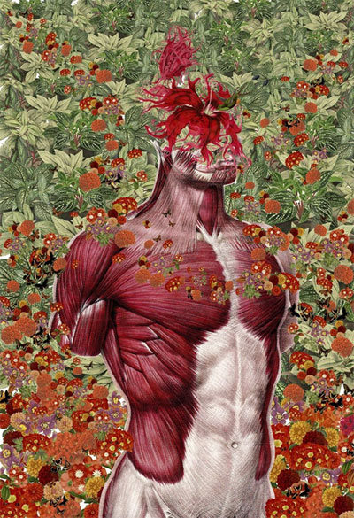 Hiện trường - Xem hình người 'giải phẫu' qua bộ ảnh hoa lá độc đáo (Hình 3).