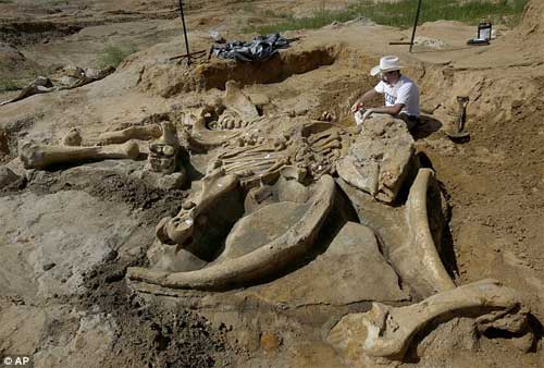 Hiện trường - Phát hiện bộ xương khổng lồ của sinh vật thời kỷ băng hà