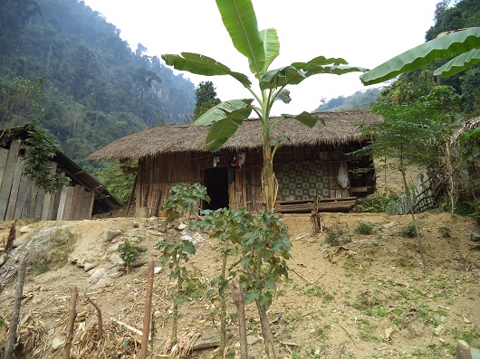 Căn nhà của vợ chồng anh Mua được tết bằng gỗ rừng, lợp lá, nằm chơ vơ giữa mỏm đất trên triền núi.