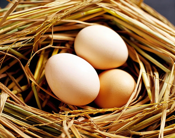 Sức khoẻ - Làm đẹp - Ăn trứng gà thế nào thì tốt cho sức khỏe?