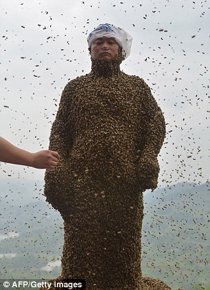 Chuyện lạ về người có khả năng “hút” gần nửa triệu con ong