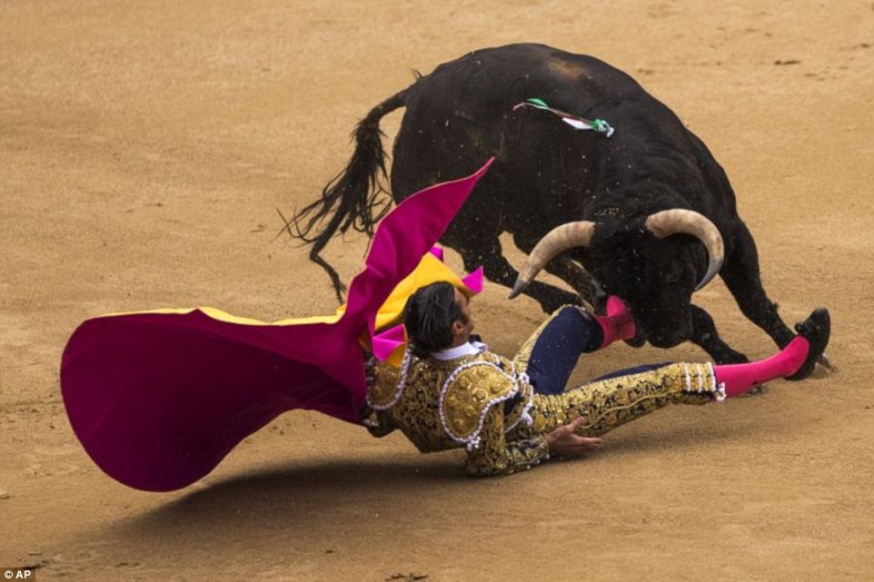 Thót tim xem lễ hội bò tót đẫm máu ở Tây Ban Nha