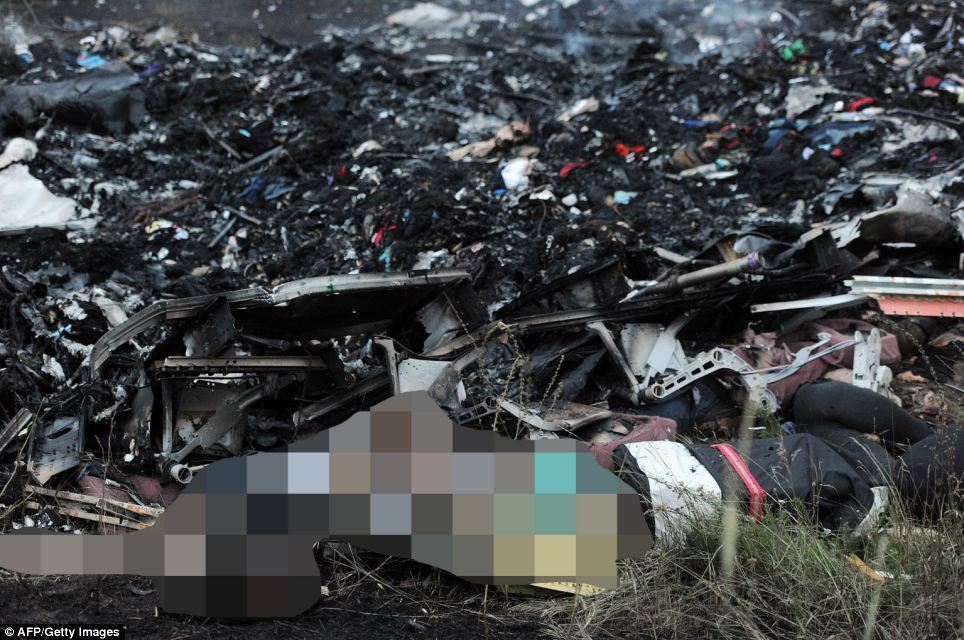  - Cận cảnh vụ rơi máy bay Malaysia, 295 người thiệt mạng (Hình 10).
