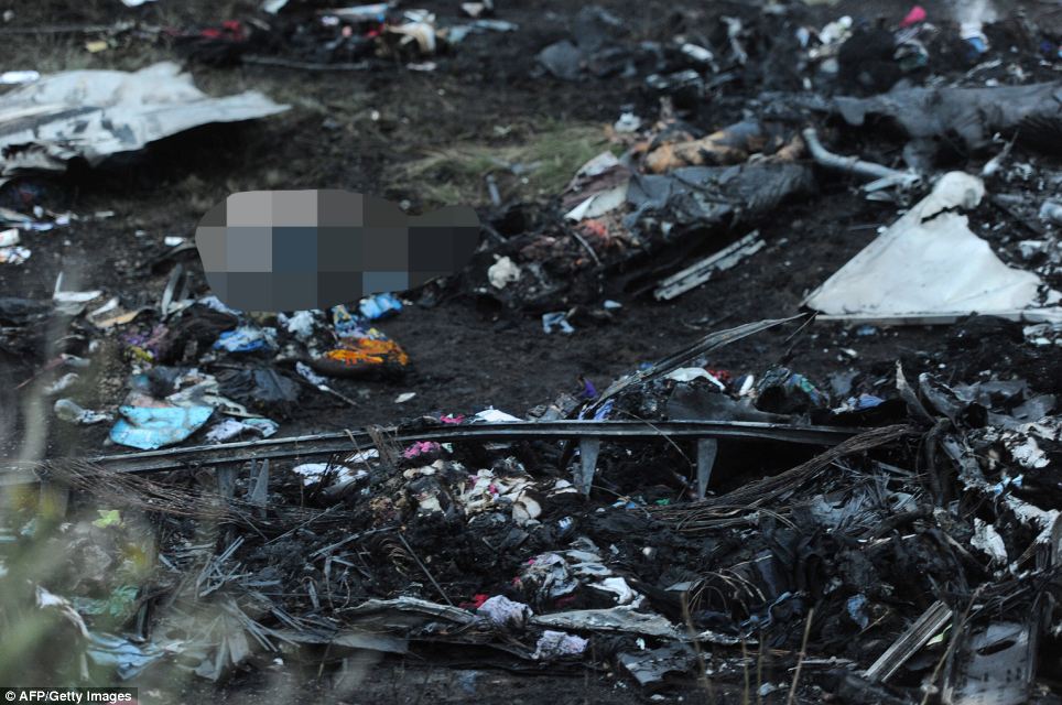  - Cận cảnh vụ rơi máy bay Malaysia, 295 người thiệt mạng (Hình 3).
