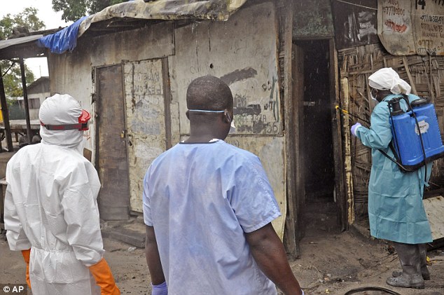  - Kinh hoàng chó ăn thịt thi thể bệnh nhân Ebola (Hình 2).