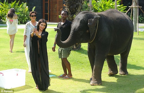 Kim Kardashian hoảng sợ “né” voi ở Thái Lan