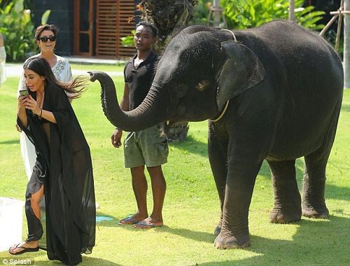 Kim Kardashian hoảng sợ “né” voi ở Thái Lan