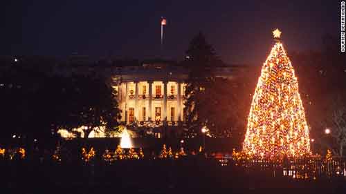Những cây thông Noel hoành tráng nhất thế giới năm 2013