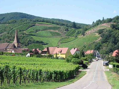 8 vùng rượu nho xinh đẹp nhất nước Pháp