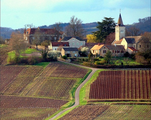  - 8 vùng rượu nho xinh đẹp nhất nước Pháp (Hình 3).