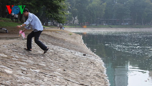  - Cá chết trắng hồ Thiền Quang, người đi đường phải bịt mũi (Hình 8).