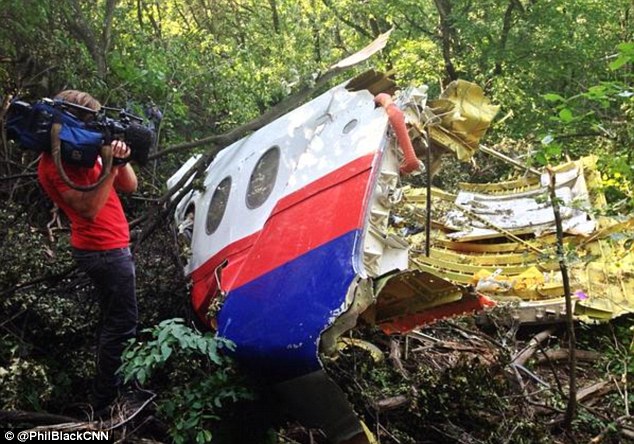  - MH17: Phát hiện mảnh vỡ lớn nhất của máy bay Malaysia rơi (Hình 2).