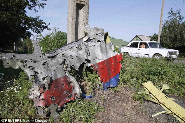  - MH17: Phát hiện mảnh vỡ lớn nhất của máy bay Malaysia rơi (Hình 3).