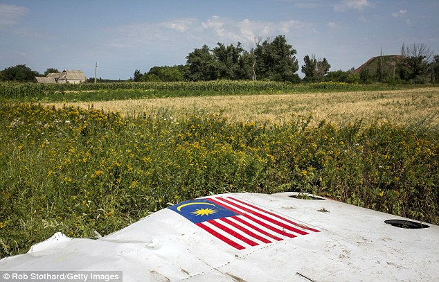  - MH17: Phát hiện mảnh vỡ lớn nhất của máy bay Malaysia rơi (Hình 4).