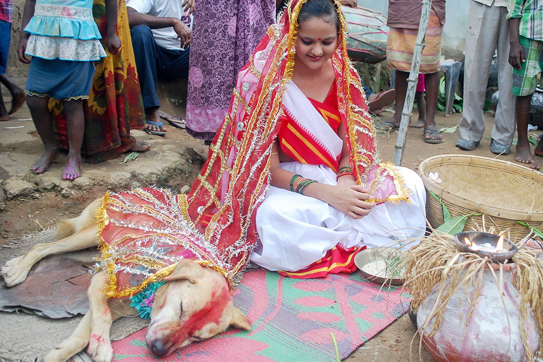 Cô gái Ấn Độ bị ép phải cưới ... chú chó để tránh tai ương