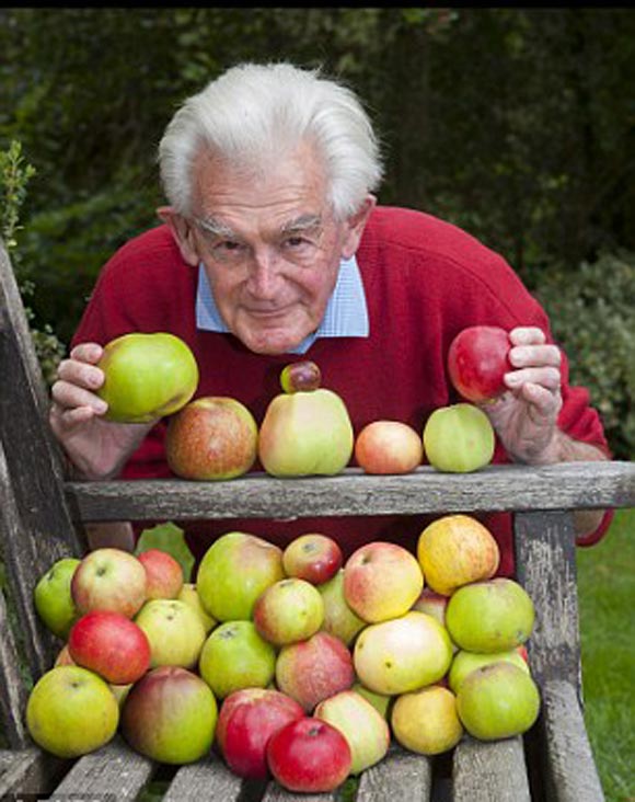  - Cây táo 'thần kỳ' mọc ra 50 loại quả khác nhau ở Anh (Hình 2).