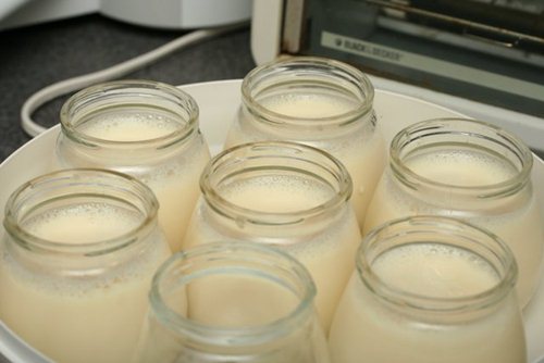 Résultat de recherche d'images pour "sữa đặc làm sữa chua"