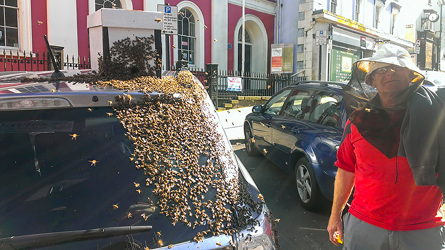 Рой пчел на машине