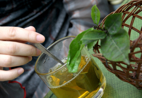 Sức khoẻ - Làm đẹp - Tác dụng phụ của trà xanh và 12 cấm kỵ khi dùng trà (Hình 2).