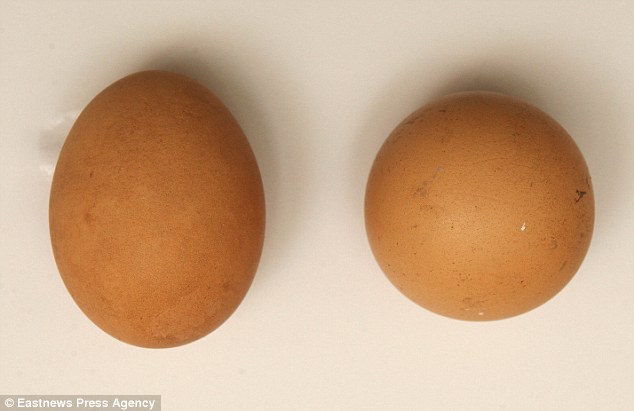 Sức khoẻ - Làm đẹp - 10 ngộ nhận khi ăn trứng gà