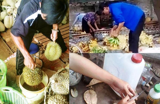 Ăn - Chơi - Truy tìm nguồn gốc nho ngọt lịm, quả to bán tràn lan ở Hà Nội: Giật mình phát hiện bị lừa (Hình 3).