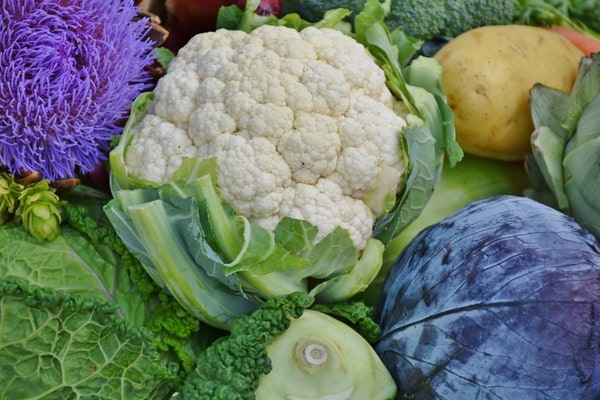 Sức khoẻ - Làm đẹp - Điểm danh những loại rau củ an toàn, ăn bao nhiêu cũng không sợ thuốc trừ sâu (Hình 3).