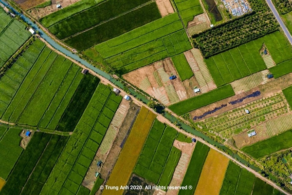 Ăn - Chơi - Vẻ đẹp siêu thực của cánh đồng cói Việt Nam (Hình 4).