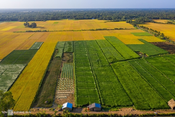 Ăn - Chơi - Vẻ đẹp siêu thực của cánh đồng cói Việt Nam (Hình 10).