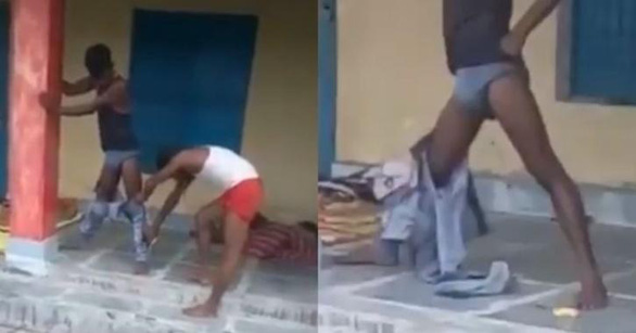 Cộng đồng mạng - Ấn Độ: Bị rắn hổ mang chui vào quần, nạn nhân thoát chết nhờ đứng bất động 7 giờ liền