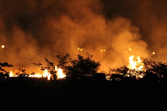 Tin trong nước - Cháy lớn xưởng sản xuất gỗ ở Bình Dương, nửa đêm vẫn miệt mài dập lửa
