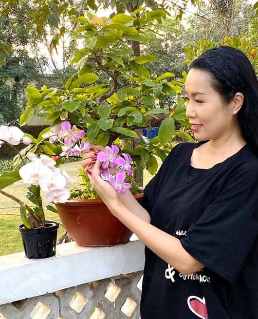 Tin tức giải trí - Á hậu Trịnh Kim Chi hé lộ vườn hoa trái xanh mướt mắt bên trong biệt thự rộng 200m2 (Hình 5).