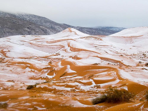 Tin thế giới - Tuyết rơi trên sa mạc Sahara sau gần 40 năm 