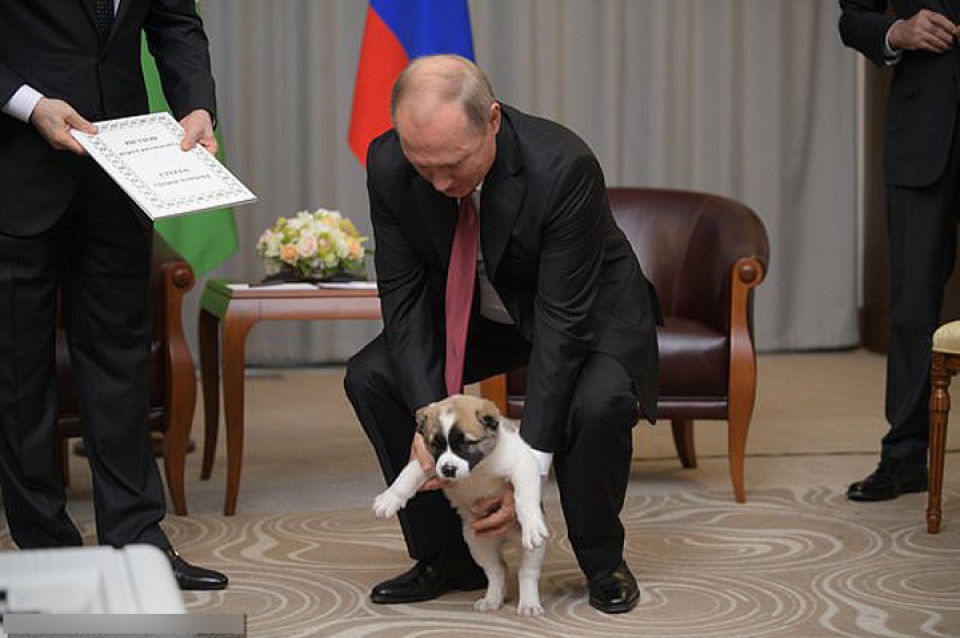 Tin thế giới - Tổng thống Putin lại được tặng chó nhân dịp sinh nhật (Hình 4).