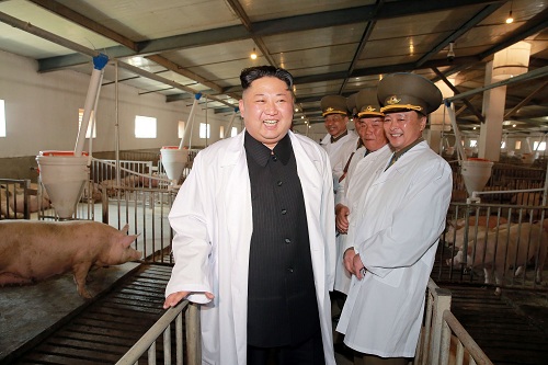 Tin thế giới - Kim Jong-un tươi cười khi thăm trang trại lợn của không quân (Hình 2).