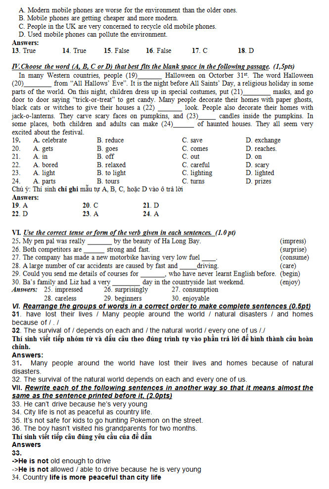 Tin trong nước - Đề thi, đáp án môn Ngoại ngữ tuyển sinh lớp 10 TP. Hồ Chí Minh (Hình 3).