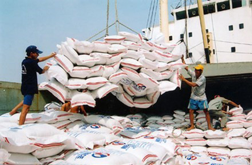 Thị trường - Xuất khẩu 368.000 tấn gạo trong tháng 10