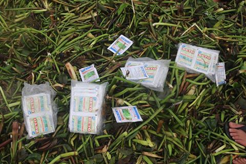 Xuất hiện hàng ngàn bao thuốc trừ sâu, thuốc diệt cỏ dọc bờ biển - Ảnh 1