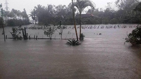 Tin trong nước - Huế: Nước sông tiếp tục dâng cao, nhiều nhà dân ngập nặng hơn 1m (Hình 5).