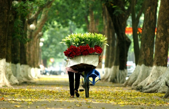 Ăn - Chơi - Top 5 địa điểm chụp ảnh mùa thu ở Hà Nội đẹp đến nao lòng (Hình 3).