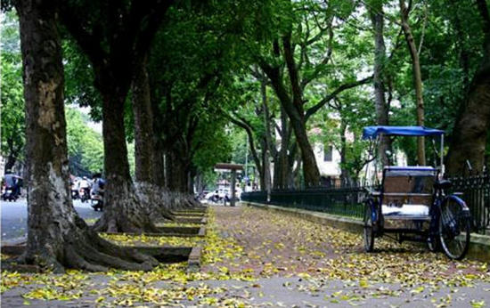 Ăn - Chơi - Top 5 địa điểm chụp ảnh mùa thu ở Hà Nội đẹp đến nao lòng (Hình 4).