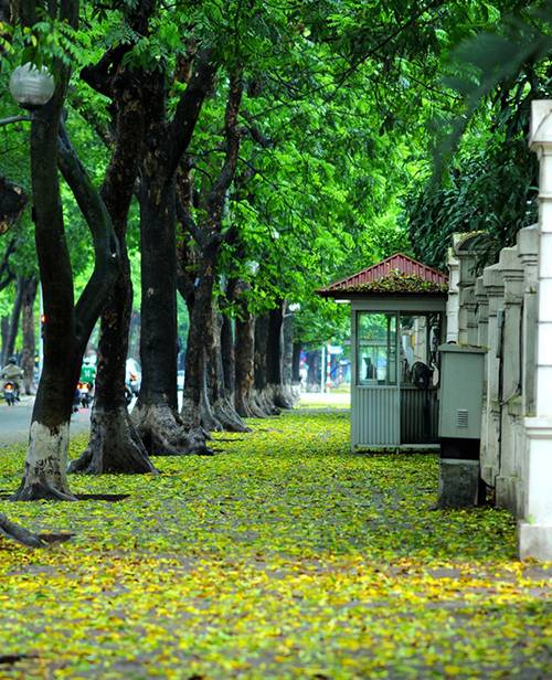 Ăn - Chơi - Top 5 địa điểm chụp ảnh mùa thu ở Hà Nội đẹp đến nao lòng (Hình 5).