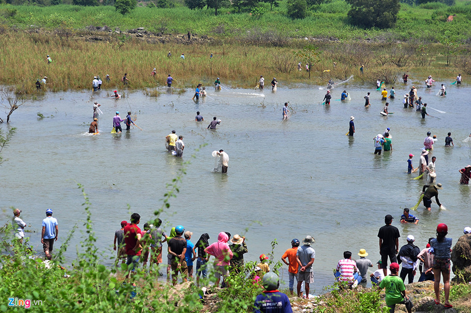 Tin trong nước - Hàng trăm người dân bắt cá 'khủng' ở chân đập thủy điện Trị An